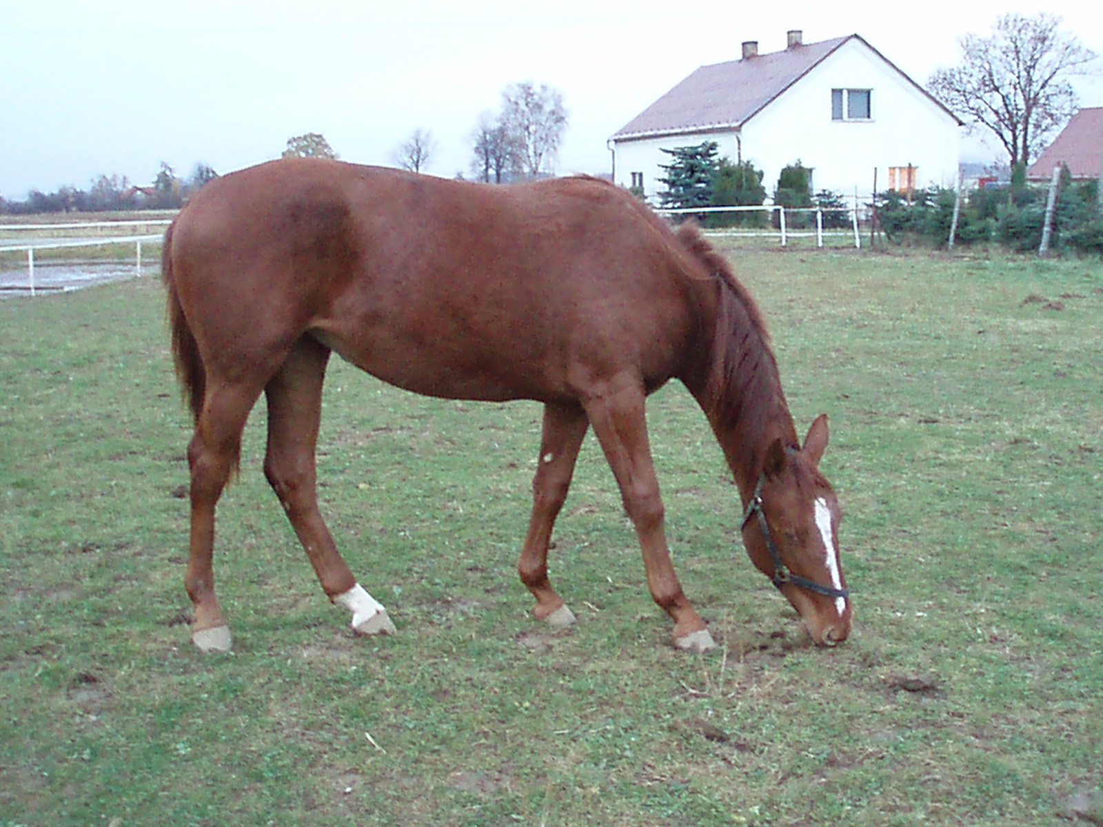 PA130415.JPG